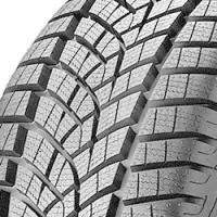 Letzte Chance Goodyear Ultragrip Performance Gen1 AO XL FP